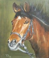 /album/a102-peintures-sur-huile/b16b-71-dscf7408-t%c3%aate-de-cheval-juin-2010-jpg/